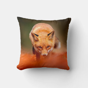 Roter Fuchs auf orangefarbenen Herbstblättern. Nie Kissen