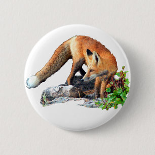 Roter Fuchs Button