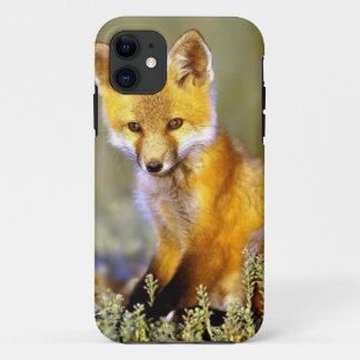 roter Fuchs des niedlichen kleinen Babys Case-Mate iPhone Hülle