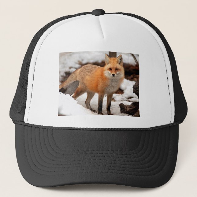 Roter Fuchs im Schnee Truckerkappe (Vorderseite)