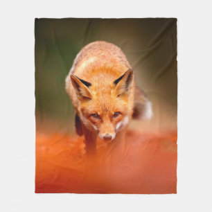 Roter Fuchs läuft auf orangen Herbstblättern. Süße Fleecedecke
