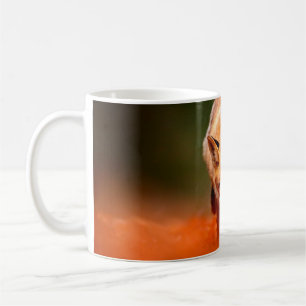 Roter Fuchs läuft auf orangen Herbstblättern. Süße Kaffeetasse