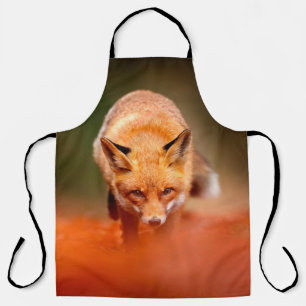 Roter Fuchs läuft auf orangen Herbstblättern. Süße Schürze