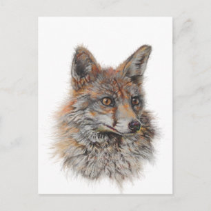 Roter Fuchs Postkarte