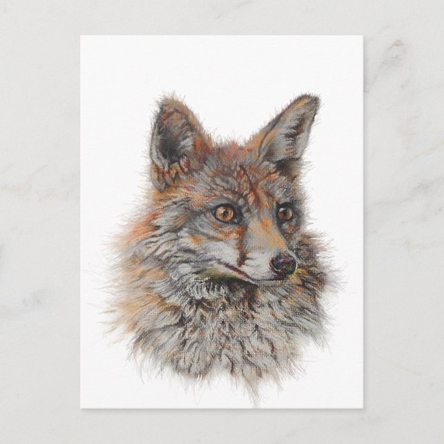 Roter Fuchs Postkarte (Vorderseite)