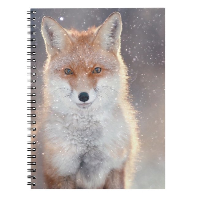 Roter Fuchs, Winterwald, landschaftliche Illustrat Notizblock (Vorderseite)