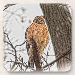 Roter geschulterter Falke in einem Baum Getränkeuntersetzer
