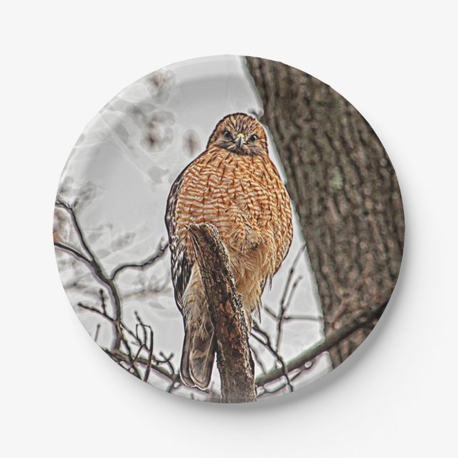 Roter geschulterter Falke in einem Baum Pappteller (Vorderseite)