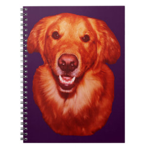 Roter Golden Retriever Vorderansicht Notizblock