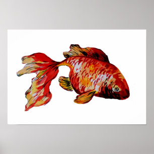 Roter Goldfisch Poster