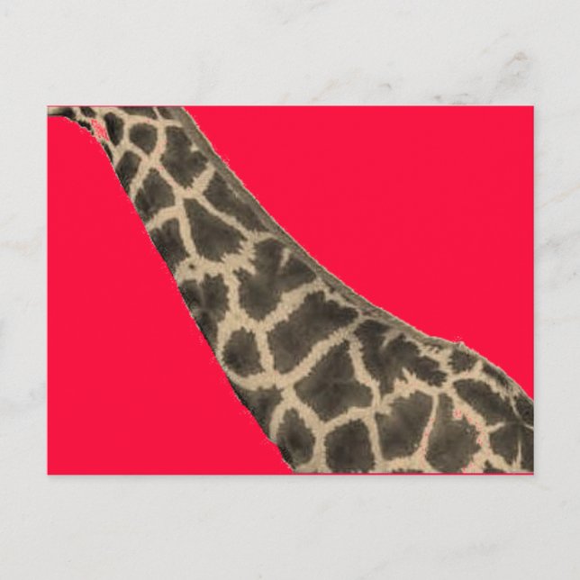 roter Hals Postkarte (Vorderseite)