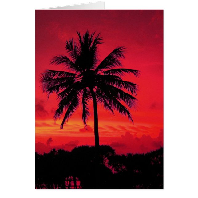 Roter Hawaiianischer Sonnenuntergang Exotische Pal (Vorne)