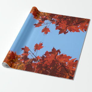 Roter Herbst: Blätter und blauer Himmel Geschenkpapier