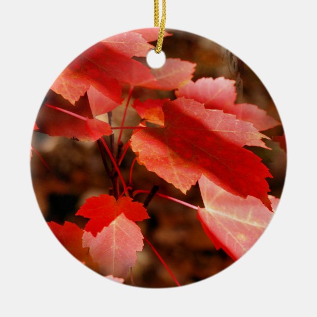 Roter Herbst lässt Naturschmuck Keramikornament (Vorne)