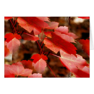 Roter Herbst verlässt Natur-Fotografie-Karte