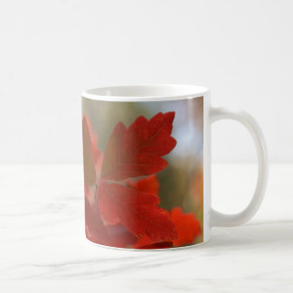 Roter Herbst verlässt Tasse