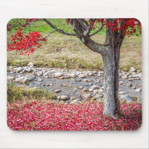 Roter Herbstbaum Mousepad