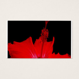 Roter Hibiskus