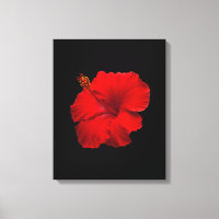 Roter Hibiskus auf Schwarz - Maßgeschneiderte Vorl