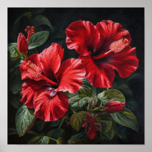 Roter Hibiskus Blume Art Print Poster