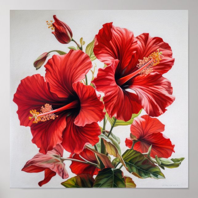 Roter Hibiskus Blume Art Print Poster (Vorne)