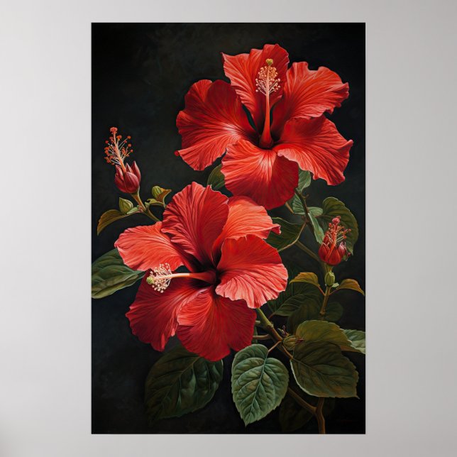 Roter Hibiskus Blume Art Print Poster (Vorne)