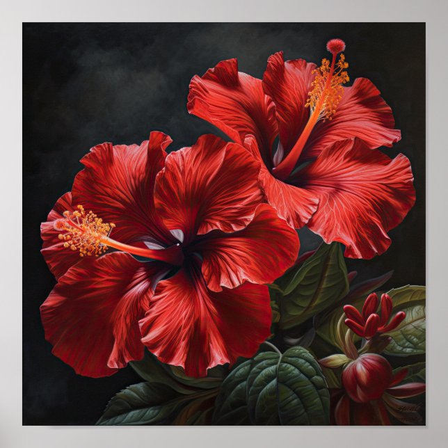 Roter Hibiskus Blume Art Print Poster (Vorne)