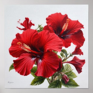Roter Hibiskus Blume Art Print Poster