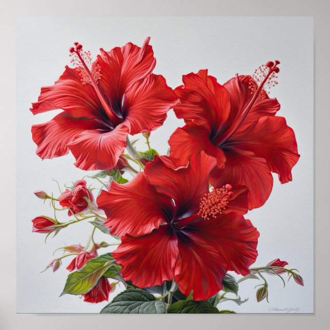 Roter Hibiskus Blume Art Print Poster (Vorne)