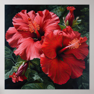 Roter Hibiskus Blume Art Print Poster
