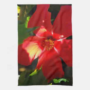 Roter Hibiskus Blume bei Sonnenlicht Küchentuch