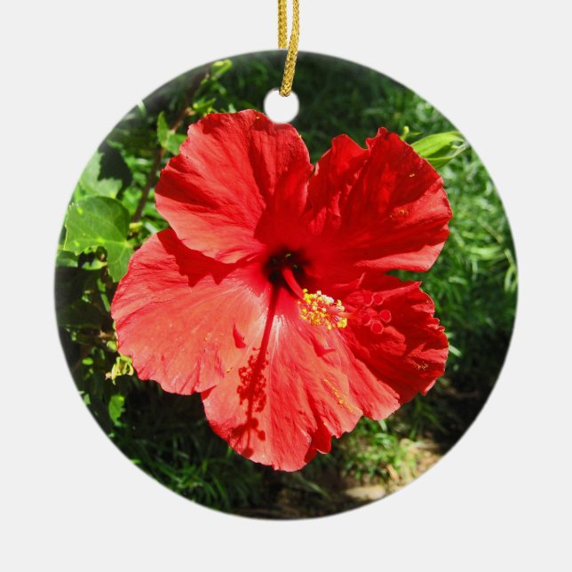Roter Hibiskus Blume Foto von Hawaii Keramik Ornament (Vorne)