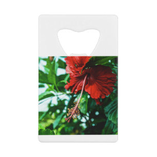 Roter Hibiskus Blume Geldbeutel Flaschenöffner