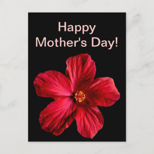 Roter Hibiskus Blume Postkarte
