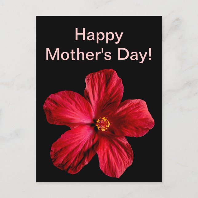 Roter Hibiskus Blume Postkarte (Vorderseite)