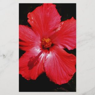 Roter Hibiskus Briefpapier
