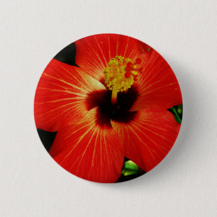 Roter Hibiskus Button