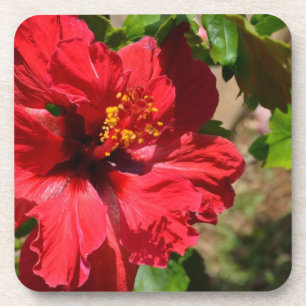 Roter Hibiskus Cork Untersetzer