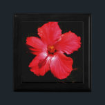 Roter Hibiskus Geschenkbox<br><div class="desc">Roter Hibiskus Blume Hibiskus ist eine blühende Pflanze in der Mallow-Familie, Malvaceae. Er ist ziemlich groß und umfasst mehrere Hundert Arten, die in warmen, subtropischen und tropischen Regionen der ganzen Welt beheimatet sind. Senden Sie eine Nachricht an sandycloss@gmail.com oder sandycloss.smugmug.com, wenn Sie eines dieser Designs auf einem Produkt sehen möchten,...</div>