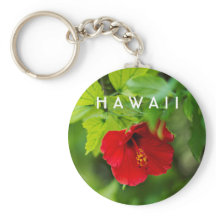 Roter Hibiskus Hawaii Tropische Blume