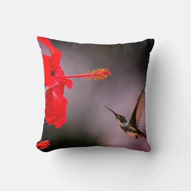 Roter Hibiskus Hummingbird Dunkler Hintergrund Kissen (Vorderseite)