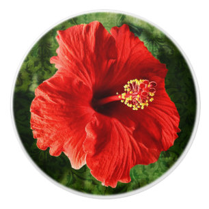 Roter Hibiskus Keramikknauf