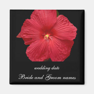 Roter Hibiskus Magnet