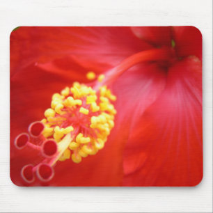Roter Hibiskus Mousepad