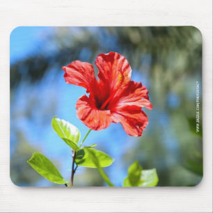 Roter Hibiskus Mousepad