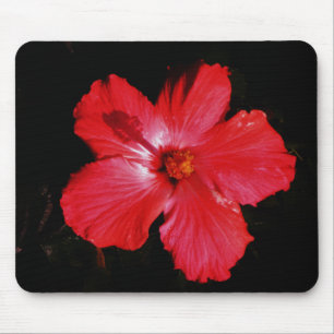 Roter Hibiskus Mousepad