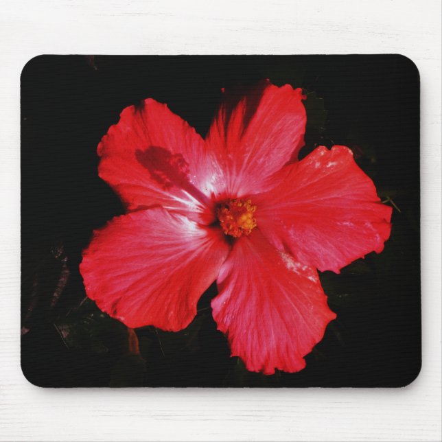 Roter Hibiskus Mousepad (Vorne)