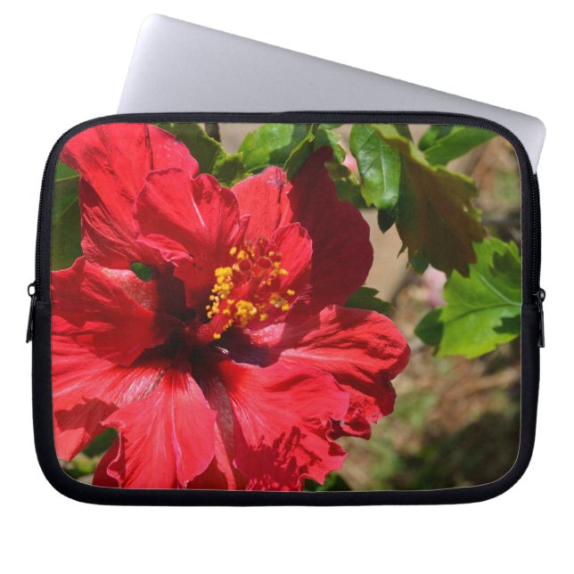 Roter Hibiskus Notebook-Tasche Laptopschutzhülle (Vorderseite)