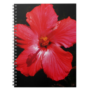 Roter Hibiskus Notizblock