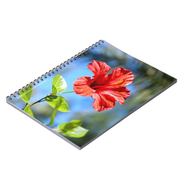 Roter Hibiskus Notizblock (Linke Seite)